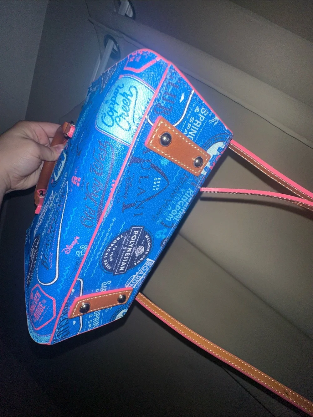 Dooney & Bourke 2022 Disney Vacation Club DVC Crossbody